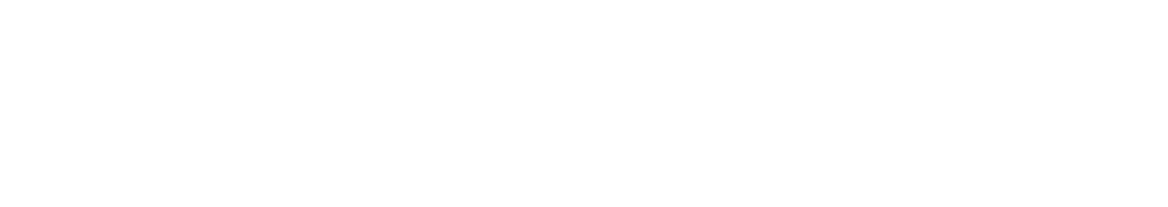 TheNewLodge Logo